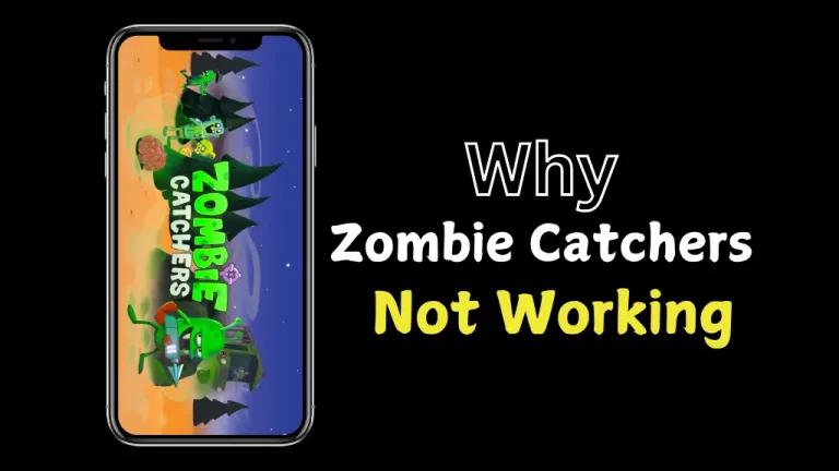 Why is the Zombie Catchers Game not working
